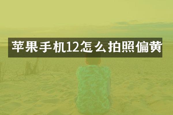 苹果手机12怎么拍照偏黄