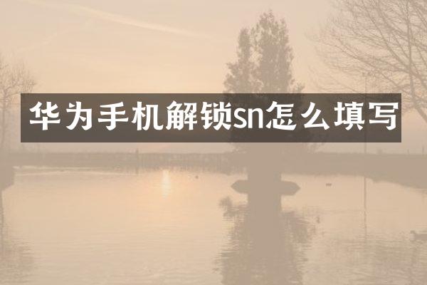 华为手机解锁sn怎么填写