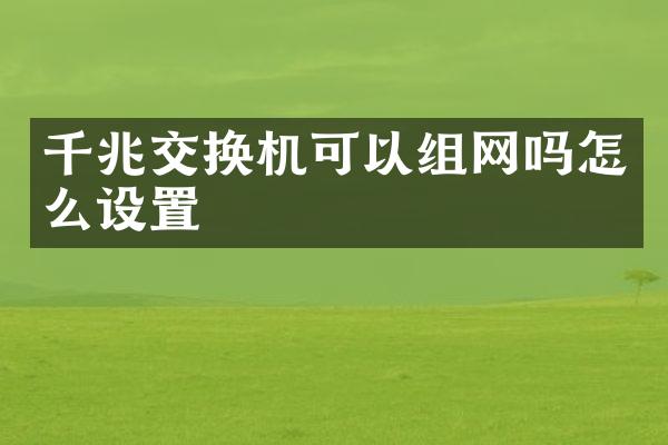 千兆交换机可以组网吗怎么设置