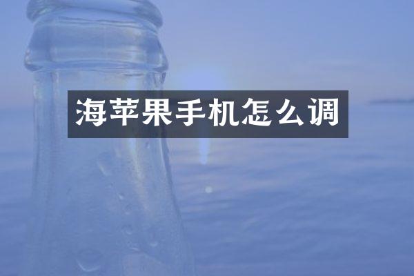 海苹果手机怎么调