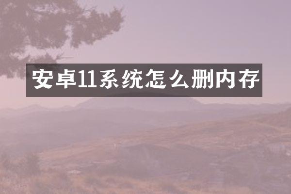 安卓11系统怎么删内存