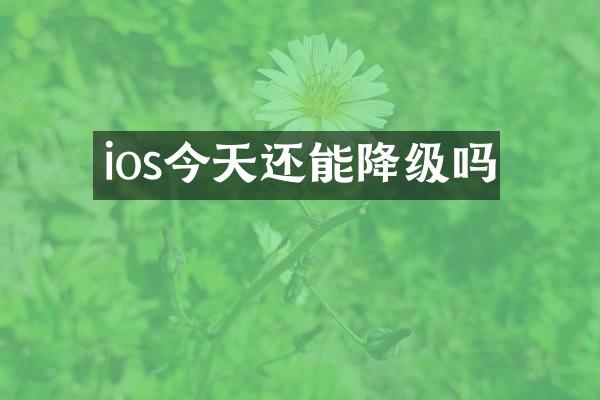 ios今天还能降级吗