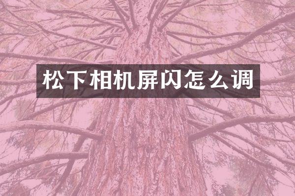 相机屏闪怎么调