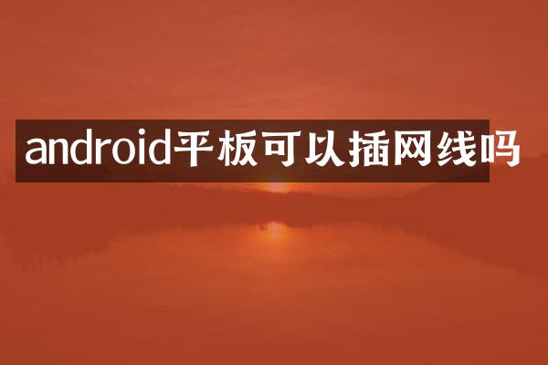 android平板可以插网线吗