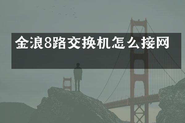 金浪8路交换机怎么接网卡