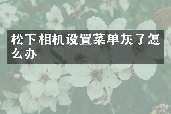 相机设置菜单灰了怎么办