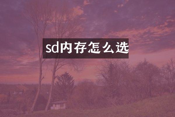 sd内存怎么选