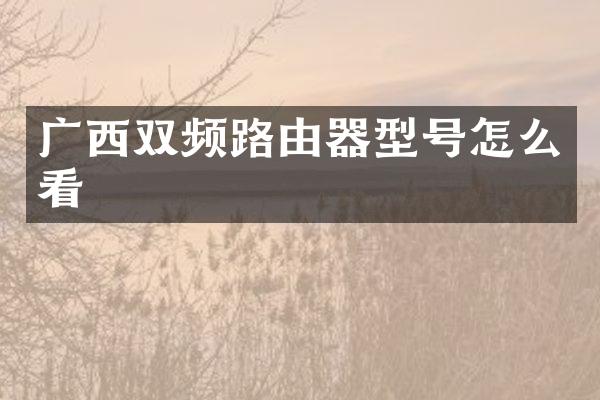 广西双频路由器型号怎么看
