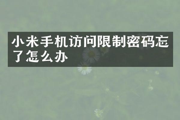 小米手机访问限制密码忘了怎么办