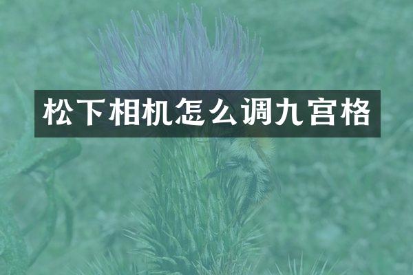 相机怎么调九宫格