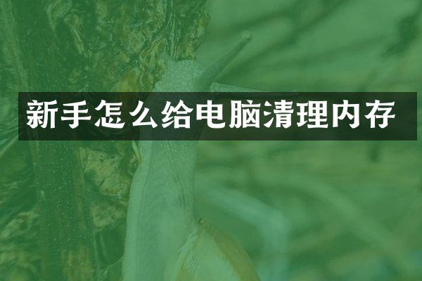 新手怎么给电脑清理内存