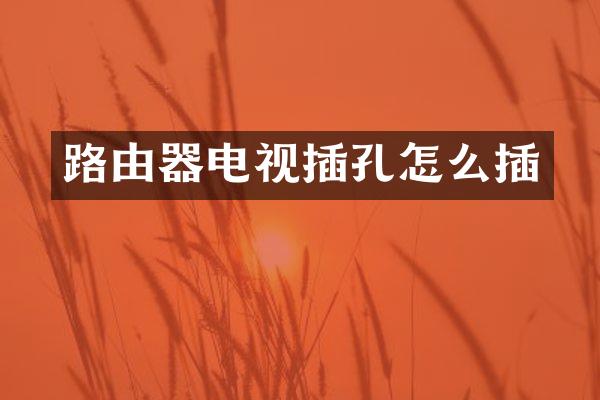 路由器电视插孔怎么插
