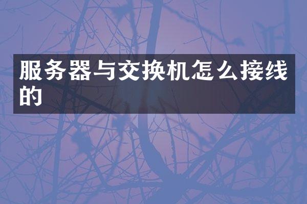 服务器与交换机怎么接线的