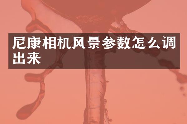 尼康相机风景参数怎么调出来