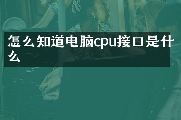 怎么知道电脑cpu接口是什么