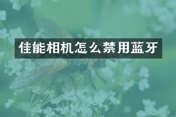 佳能相机怎么禁用蓝牙