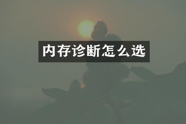 内存诊断怎么选