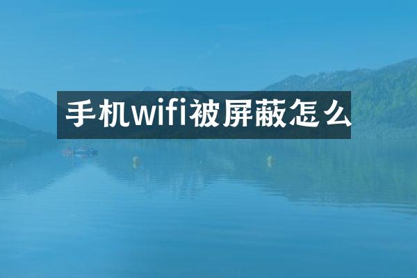 手机wifi被屏蔽怎么
