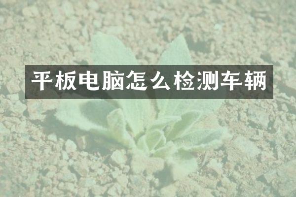 平板电脑怎么检测车辆