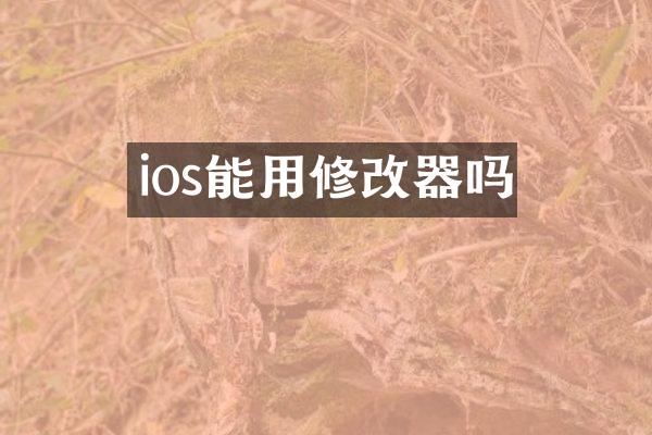 ios能用修改器吗