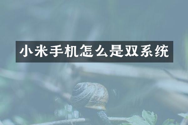 小米手机怎么是双系统