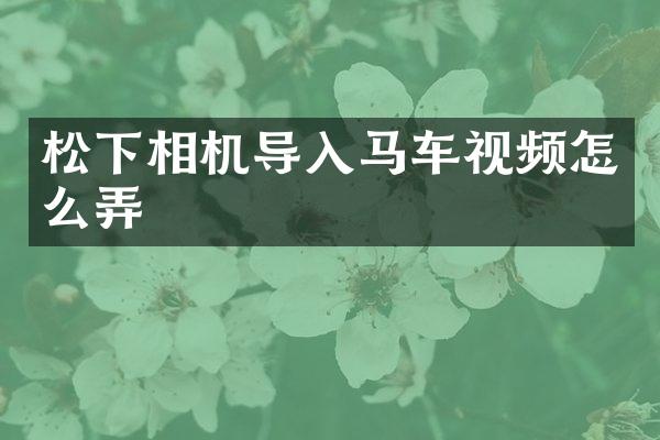 相机导入马车视频怎么弄