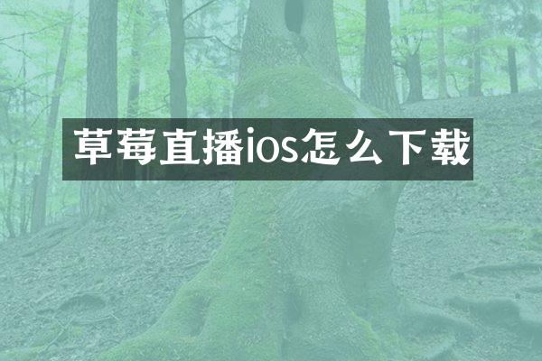 草莓直播ios怎么下载