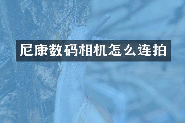 尼康数码相机怎么连拍