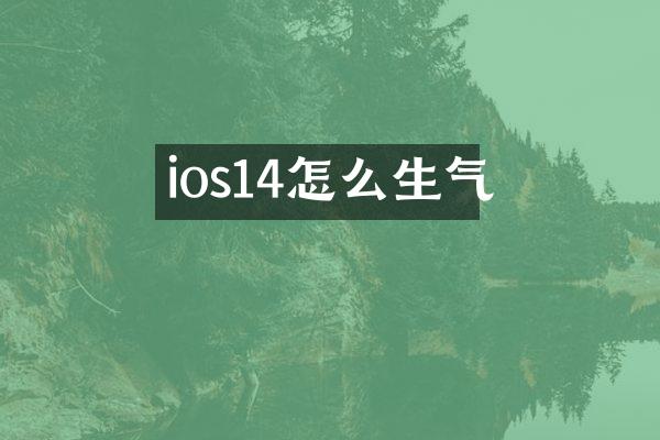 ios14怎么生气