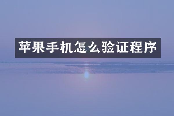 苹果手机怎么验证程序