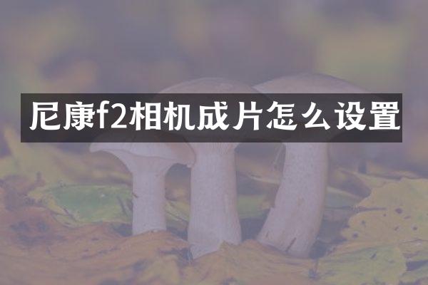 尼康f2相机成片怎么设置