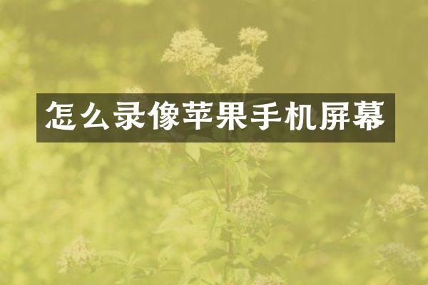怎么录像苹果手机屏幕