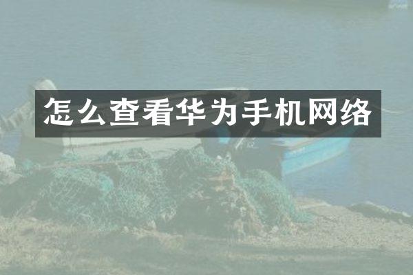 怎么查看华为手机网络