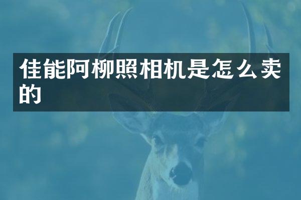 佳能阿柳照相机是怎么卖的