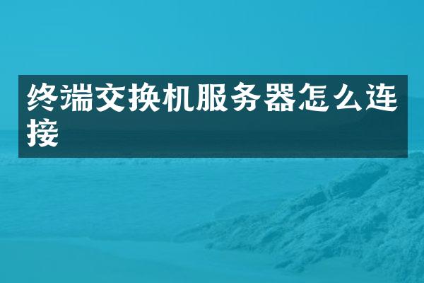 终端交换机服务器怎么连接