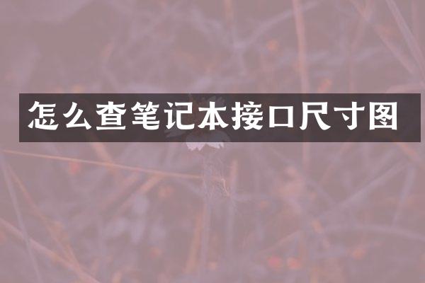 怎么查笔记本接口尺寸图