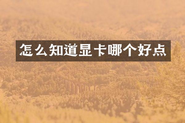 怎么知道显卡哪个好点