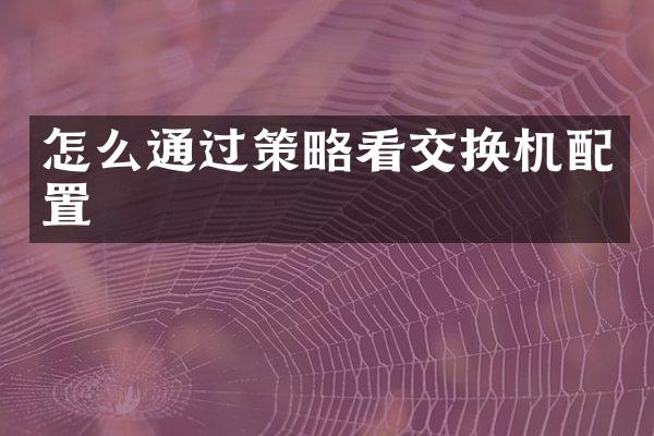 怎么通过策略看交换机配置