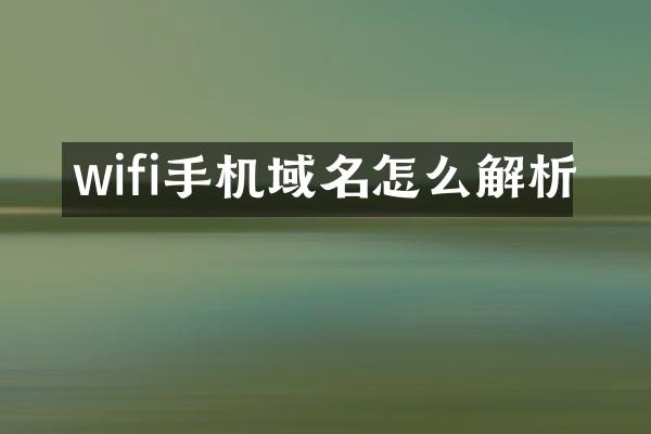 wifi手机域名怎么解析