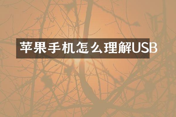 苹果手机怎么理解USB