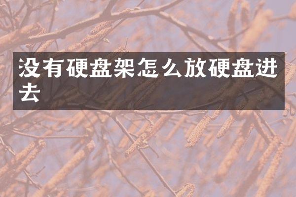 没有硬盘架怎么放硬盘进去