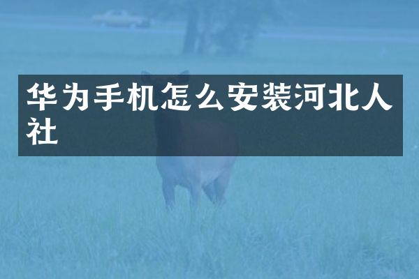华为手机怎么安装河北人社