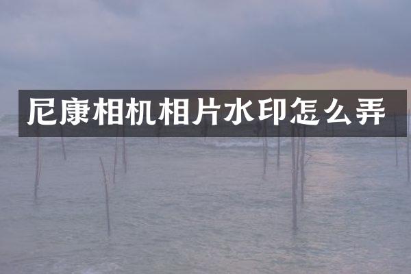 尼康相机相片水印怎么弄