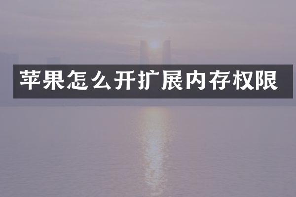 苹果怎么开扩展内存权限