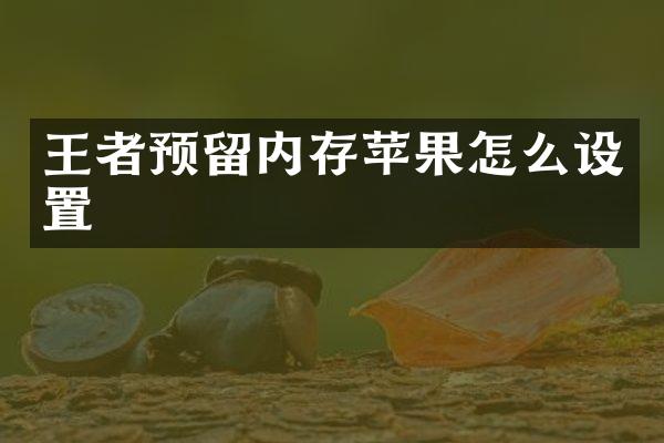 王者预留内存苹果怎么设置
