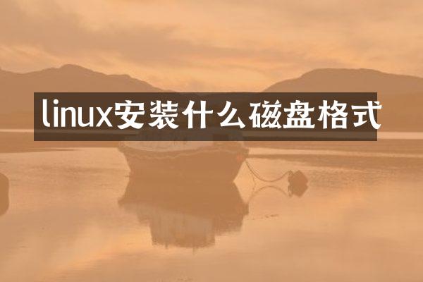 linux安装什么磁盘格式