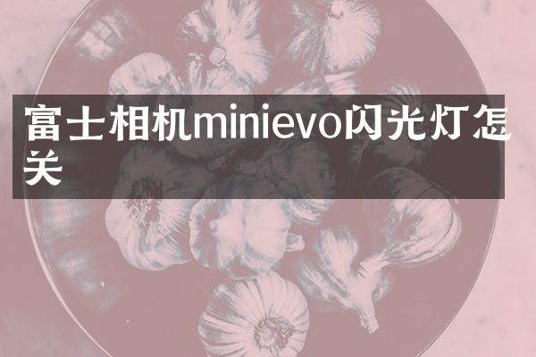 富士相机minievo闪光灯怎么关