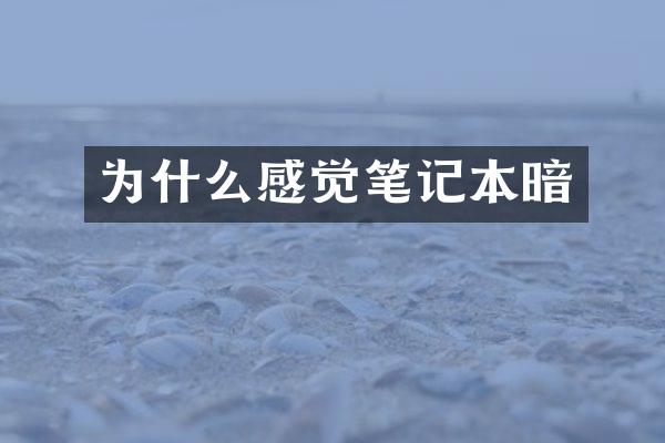 为什么感觉笔记本暗