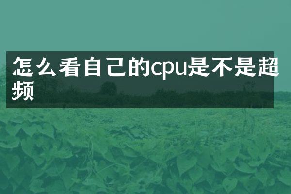 怎么看自己的cpu是不是超频
