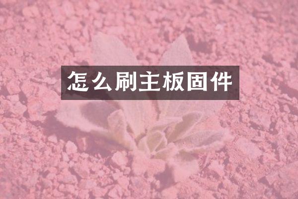 怎么刷主板固件